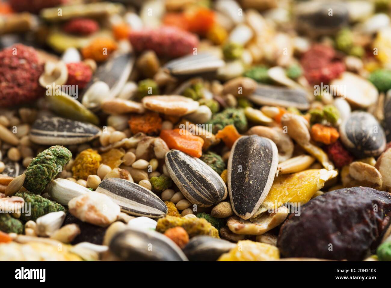 Miscela colorata di semi di uccelli con semi, noci e frutta secca su una superficie di legno durante il giorno Foto Stock