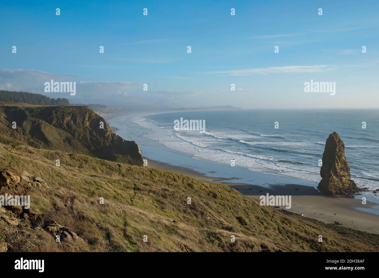 Una vista della costa dell'Oregon dal parco statale Foto Stock
