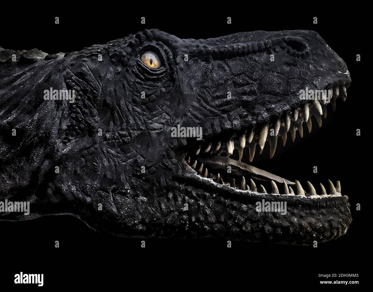 Trex Dinosaur Head Poster scuro Foto Stock