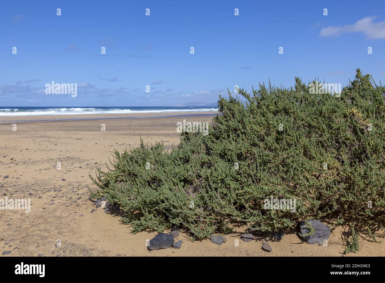 Spiaggia di Cofete, Fuerteventura Foto Stock