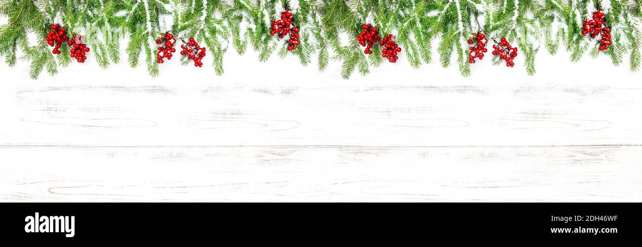 Banner di Natale. Decorazione vacanze. Rami di pino con bacche rosse Foto Stock
