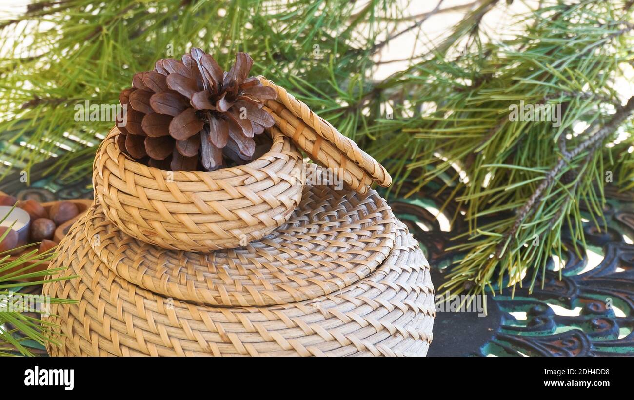 Grande cono di pino in cestelli di colore naturale pino verde rami sullo sfondo Foto Stock