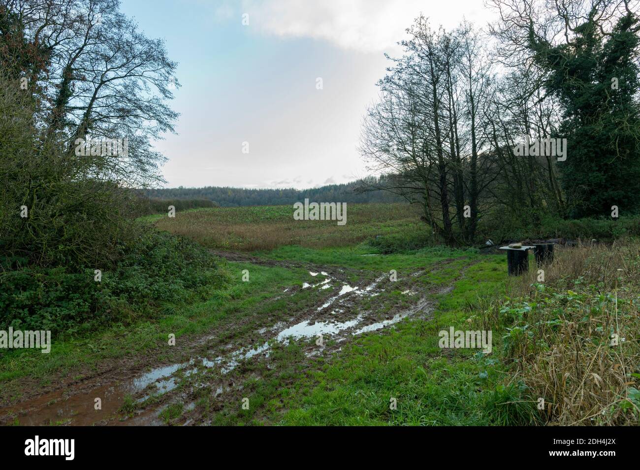 Pista fangosa in campo in inverno Foto Stock