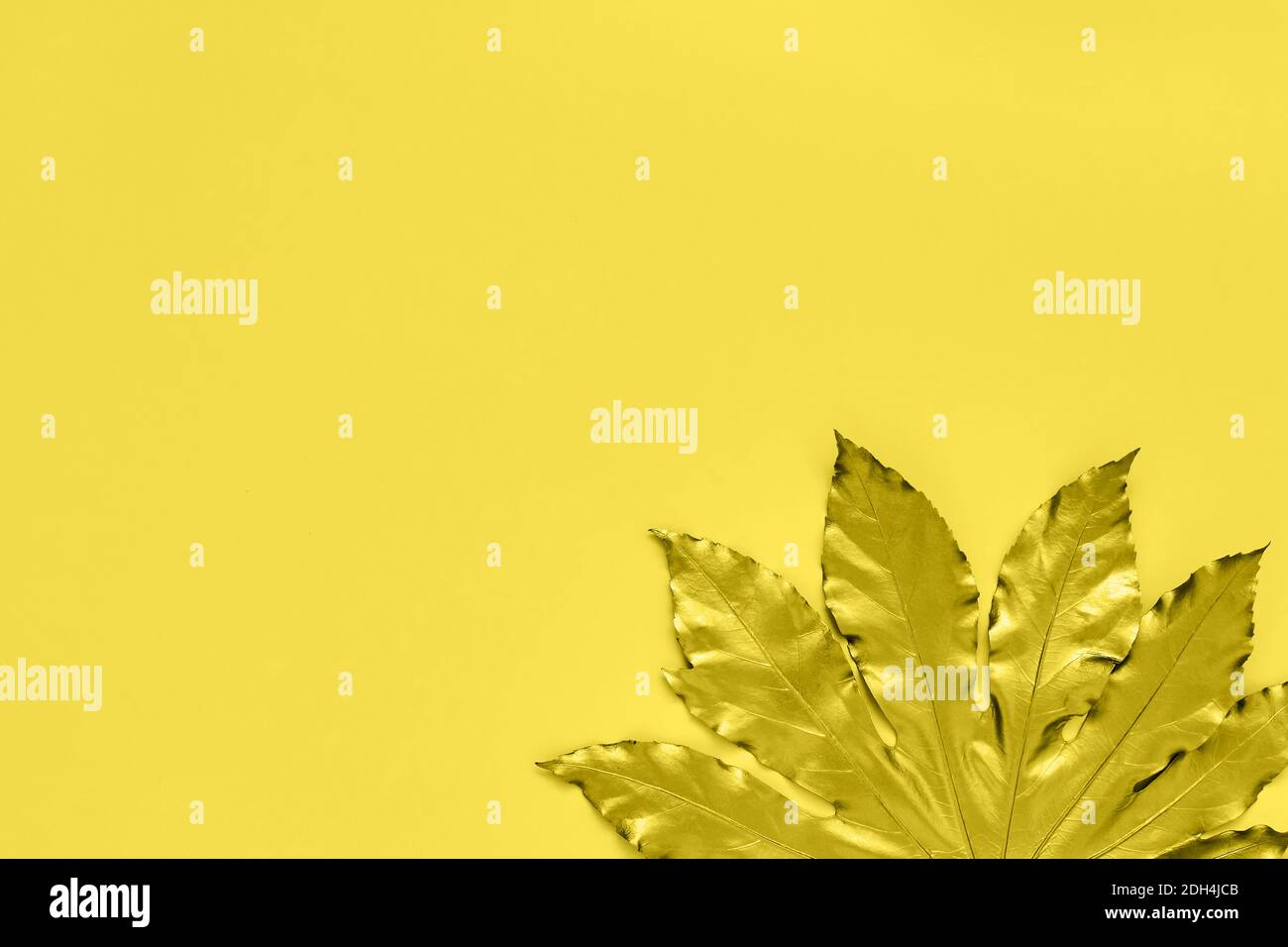 Foglia tropicale dorata su sfondo giallo. Il concetto esotico autunnale minimo con spazio di copia. Spazio di copia, vista dall'alto. Immagine a toni, a colori 2021 Foto Stock