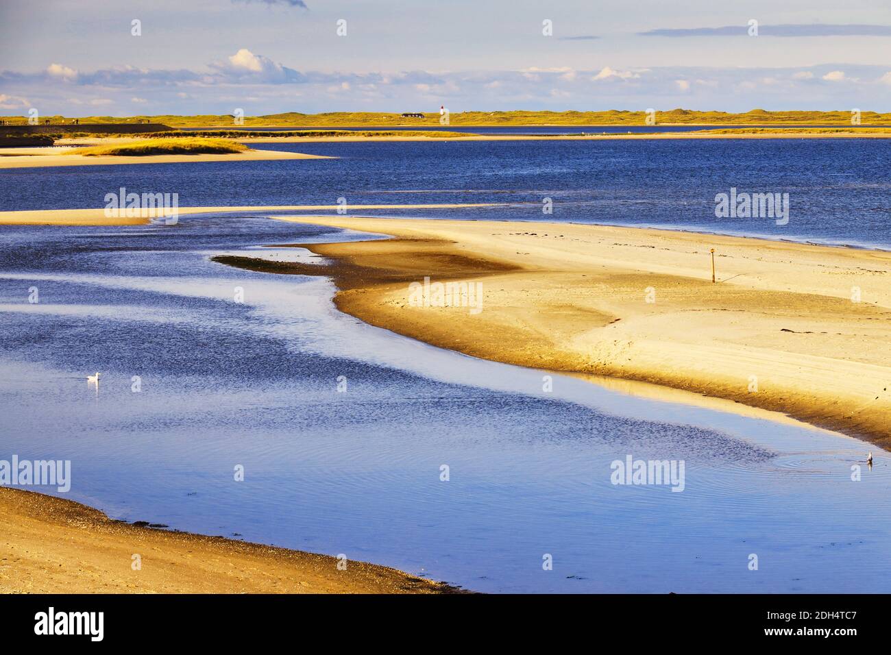 Paesaggio sulla spiaggia di Sylt, Germania, Europa Foto Stock