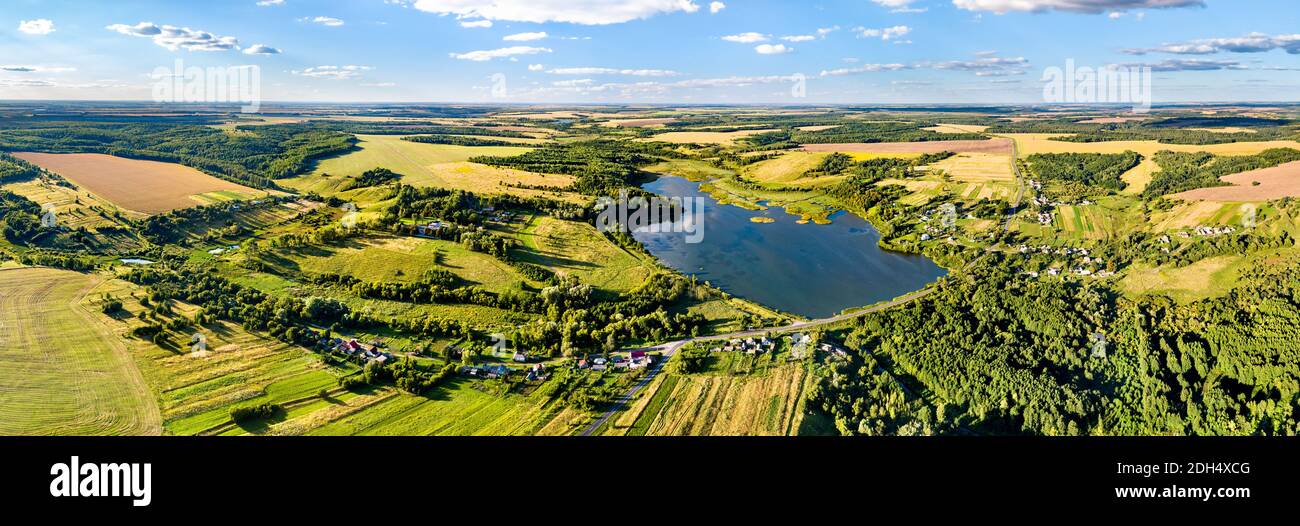 Paesaggio aereo di Chernozemye russo. Villaggio di Nizhnyaya Vablya, regione di Kursk Foto Stock