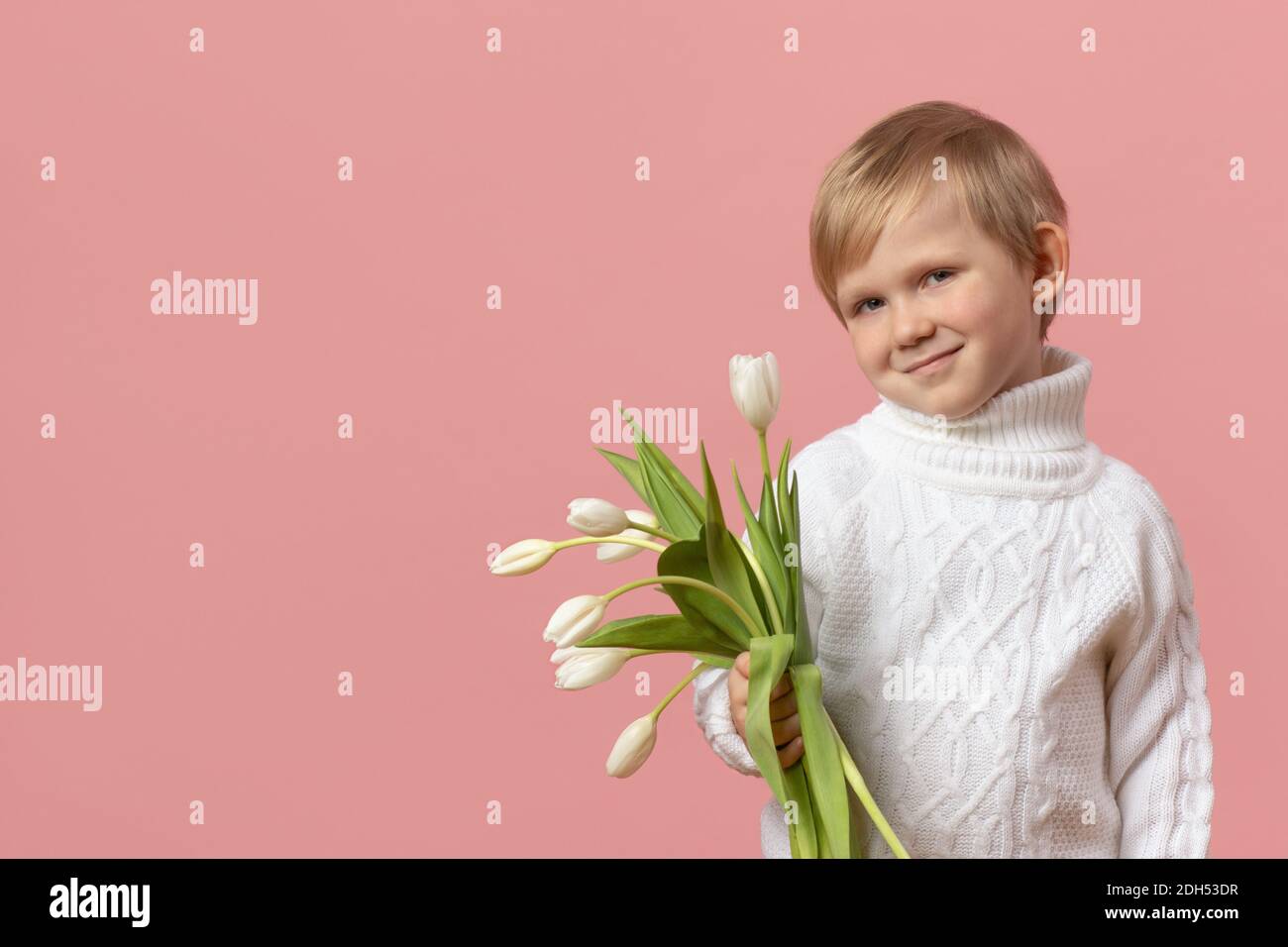 Bambino ragazzo con fiori tulipani bianchi in maglia maglione su fondo rosa pieno con spazio copia. Concetto per San Valentino, giorno donna 8 marzo e. Foto Stock