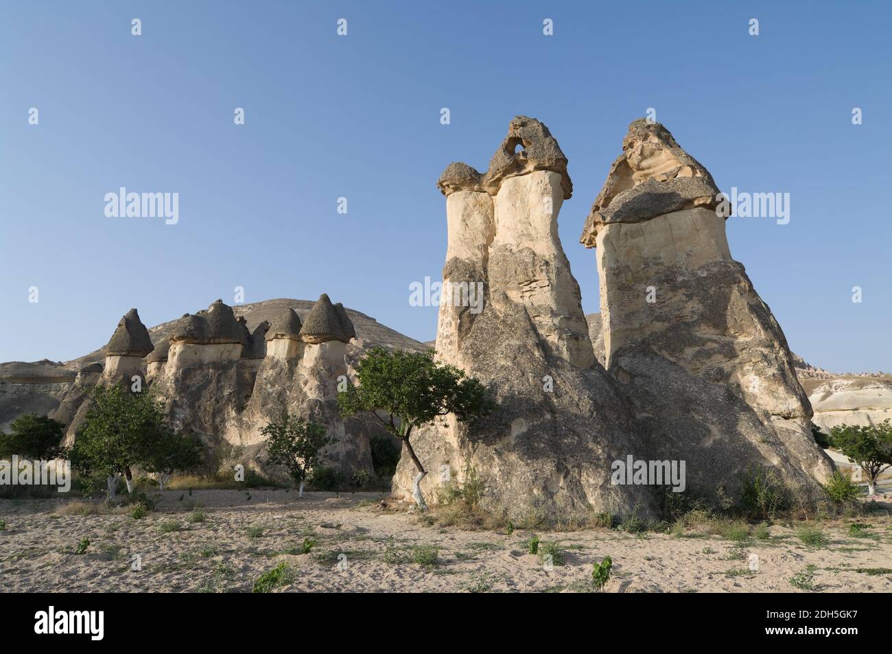 Gruppo di camini di fata formazione rocciosa tipica a Goreme, Cappadocia - Turchia Foto Stock