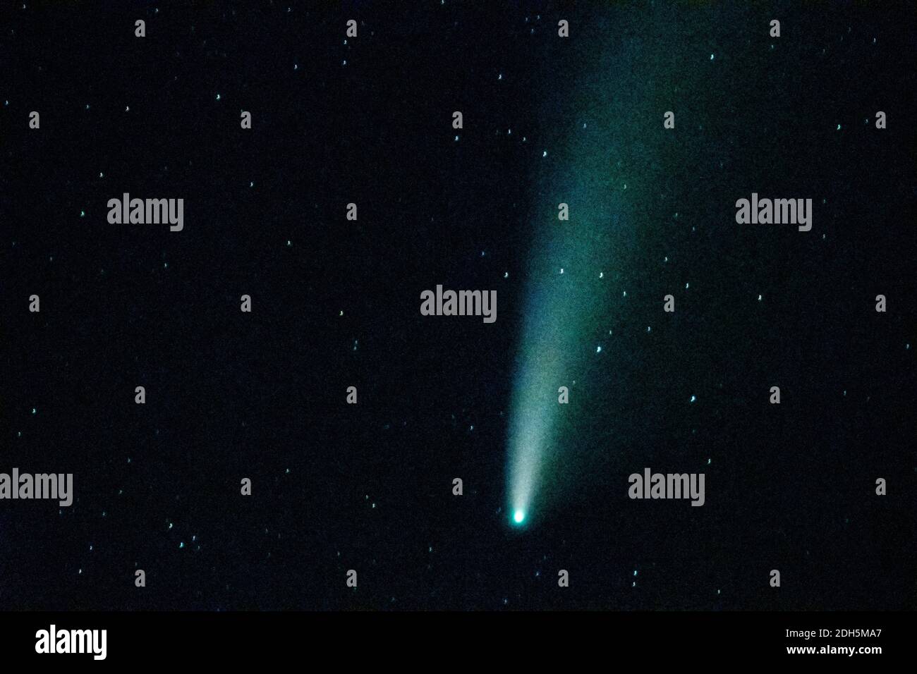 Vista della cometa neoswise nel cielo notturno Foto Stock