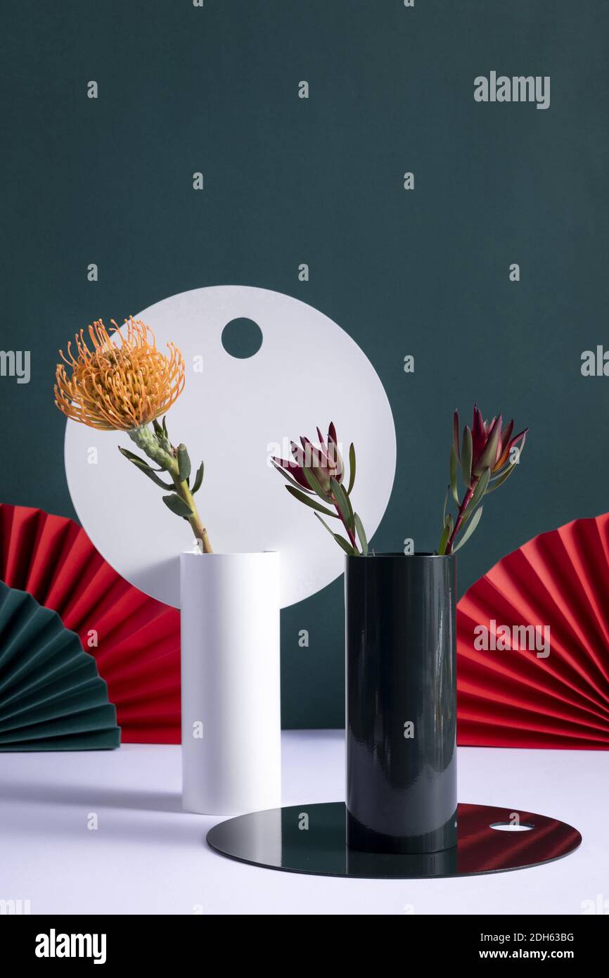Un colpo verticale di vasi decorativi con protea e billbergia Fiori con ventilatori  cinesi pieghevoli su sfondo verde Foto stock - Alamy