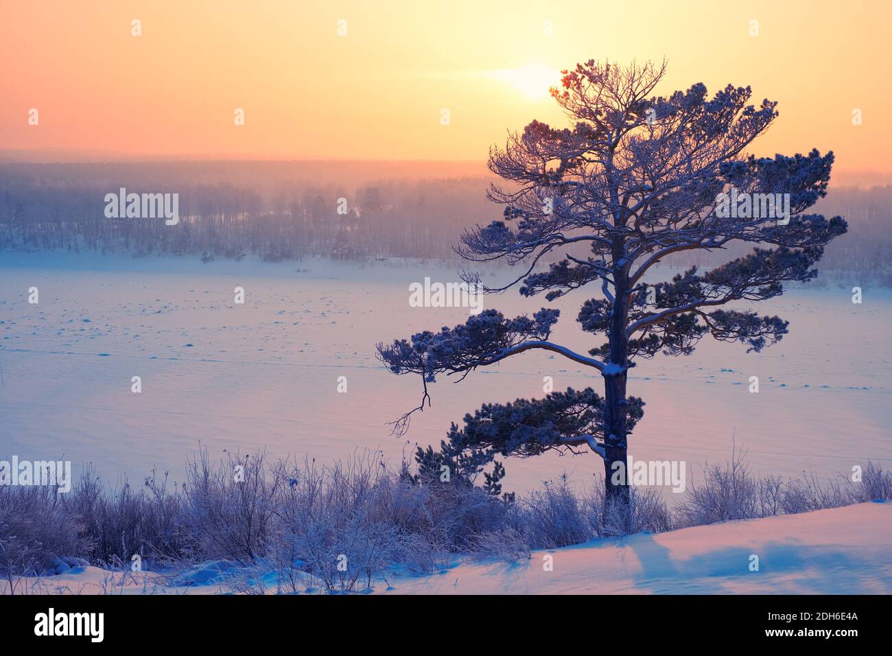 Sole su un solo pino e fiume siberiano Tom Under la neve e il ghiaccio al tramonto in inverno Foto Stock