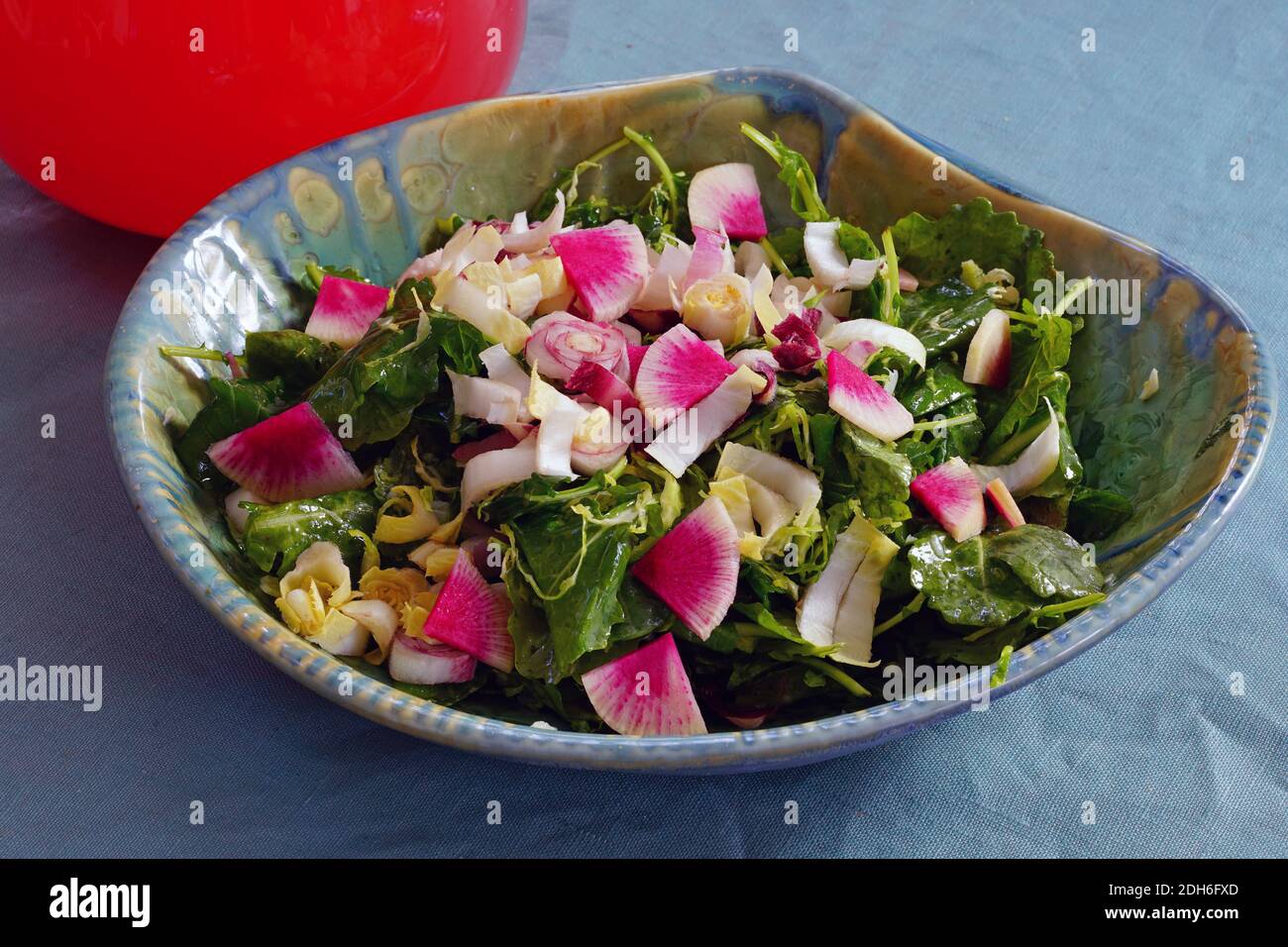 Ciotola di insalata invernale con kale, indivie belghe e rafano di anguria Foto Stock