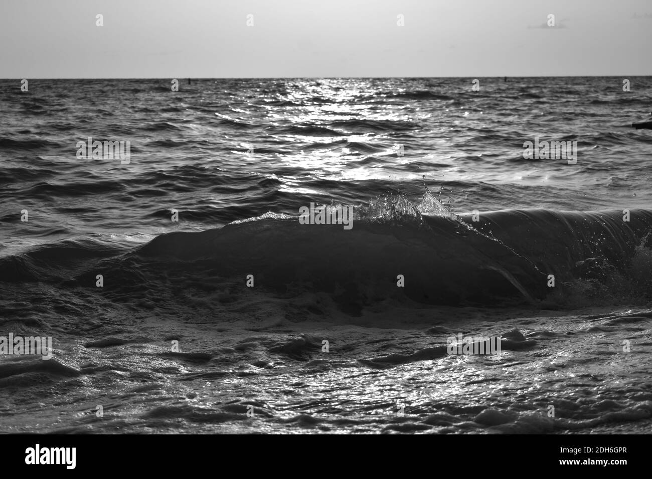 Rottura dell'onda Foto Stock