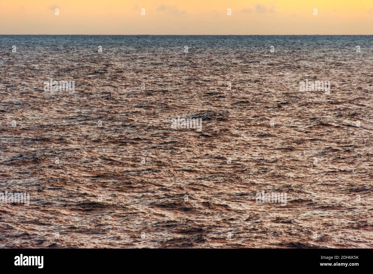 Vista all'alba dell'oceano nell'Oceano Atlantico meridionale, Gold Harbour, Georgia del Sud, Antartide Foto Stock