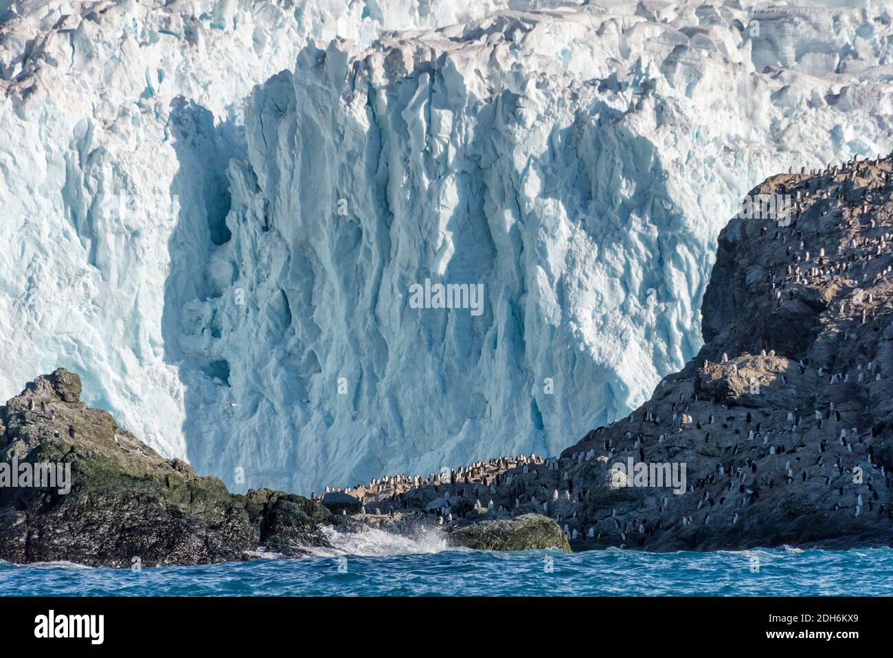 Pinguini sull'isola, Point Wild, Elephant Island, Antartide Foto Stock