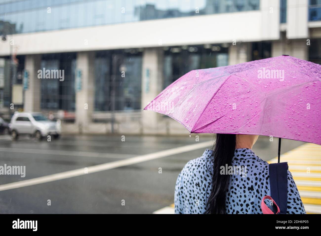 Donna con ombrello rosa in tempo piovoso sullo sfondo della città. Maltempo. Giorno piovoso. Ombrello con gocce di pioggia. Stile cittadino. Foto Stock