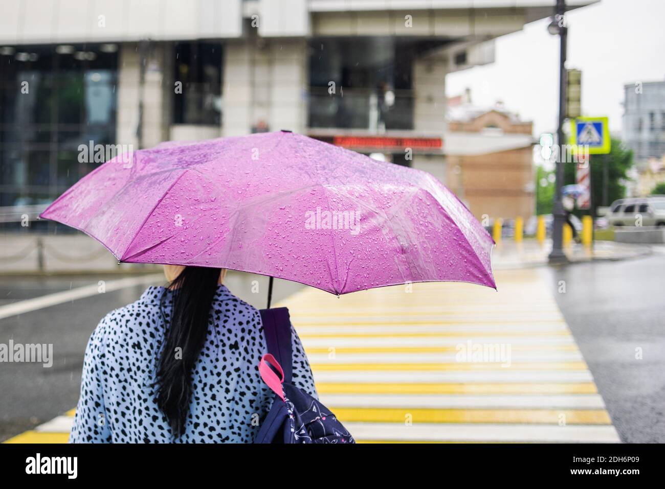 Donna con ombrello rosa in tempo piovoso che attraversa il pedone. Maltempo. Giorno piovoso. Ombrello con gocce di pioggia. Stile cittadino. Foto Stock