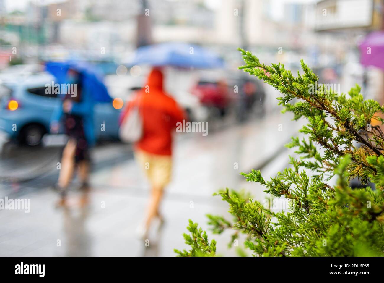 Paesaggio urbano offuscato in tempo piovoso. Le persone con ombrelloni camminano lungo la strada in una giornata piovosa. Paesaggio urbano in cattive condizioni atmosferiche. Sfondo sfocato con bokeh Foto Stock