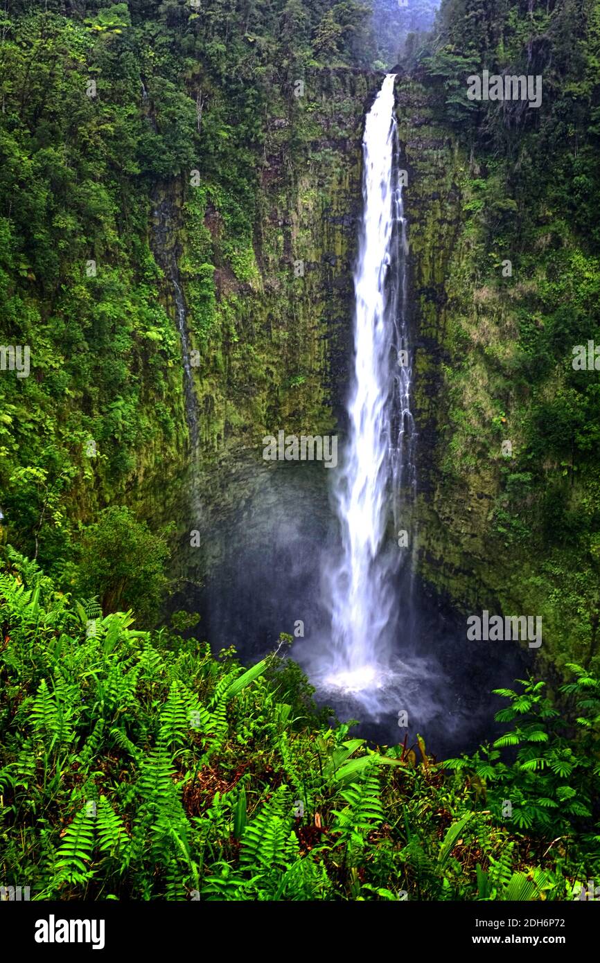 Cascate di Akaka su Big Island, Hawaii - cascata tropicale Foto Stock