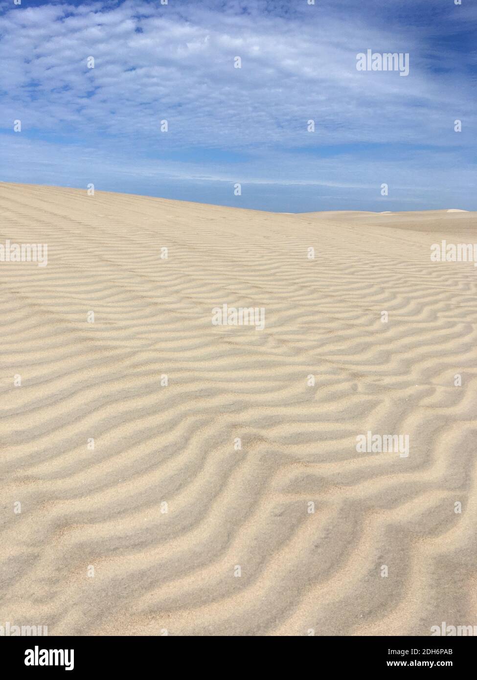 Desert Coastal Beach Sand Dunes Foto Stock