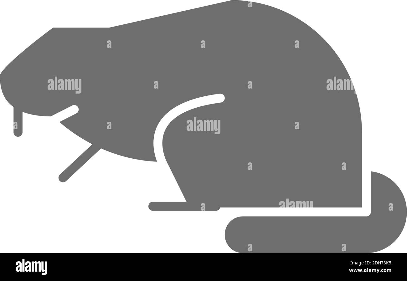 Beaver, icona grigia del ratto d'acqua. Isolato su sfondo bianco Illustrazione Vettoriale