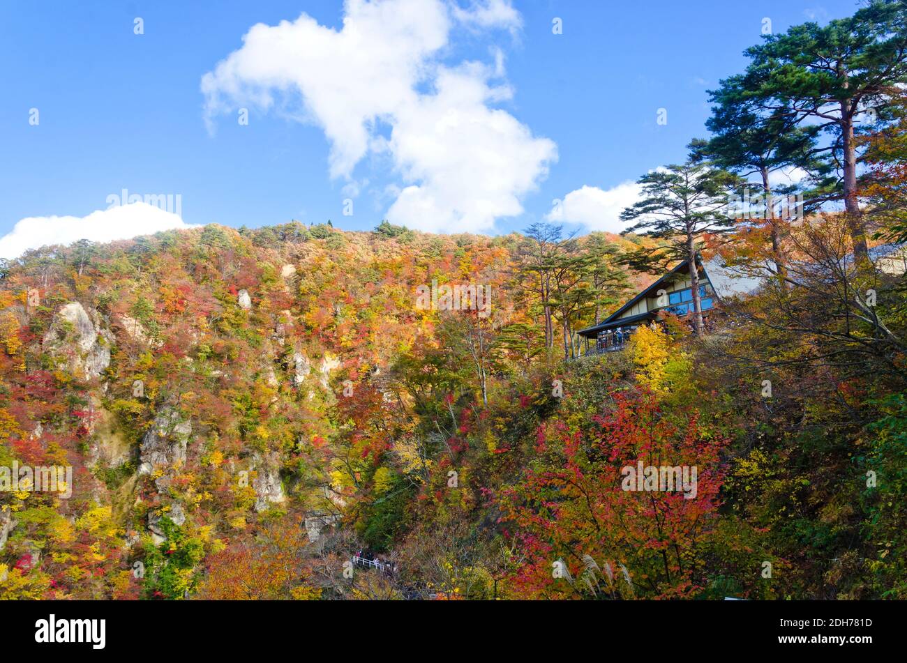 Colori autunnali della gola di Naruko a Miyagi, Tohoku, Giappone Foto Stock