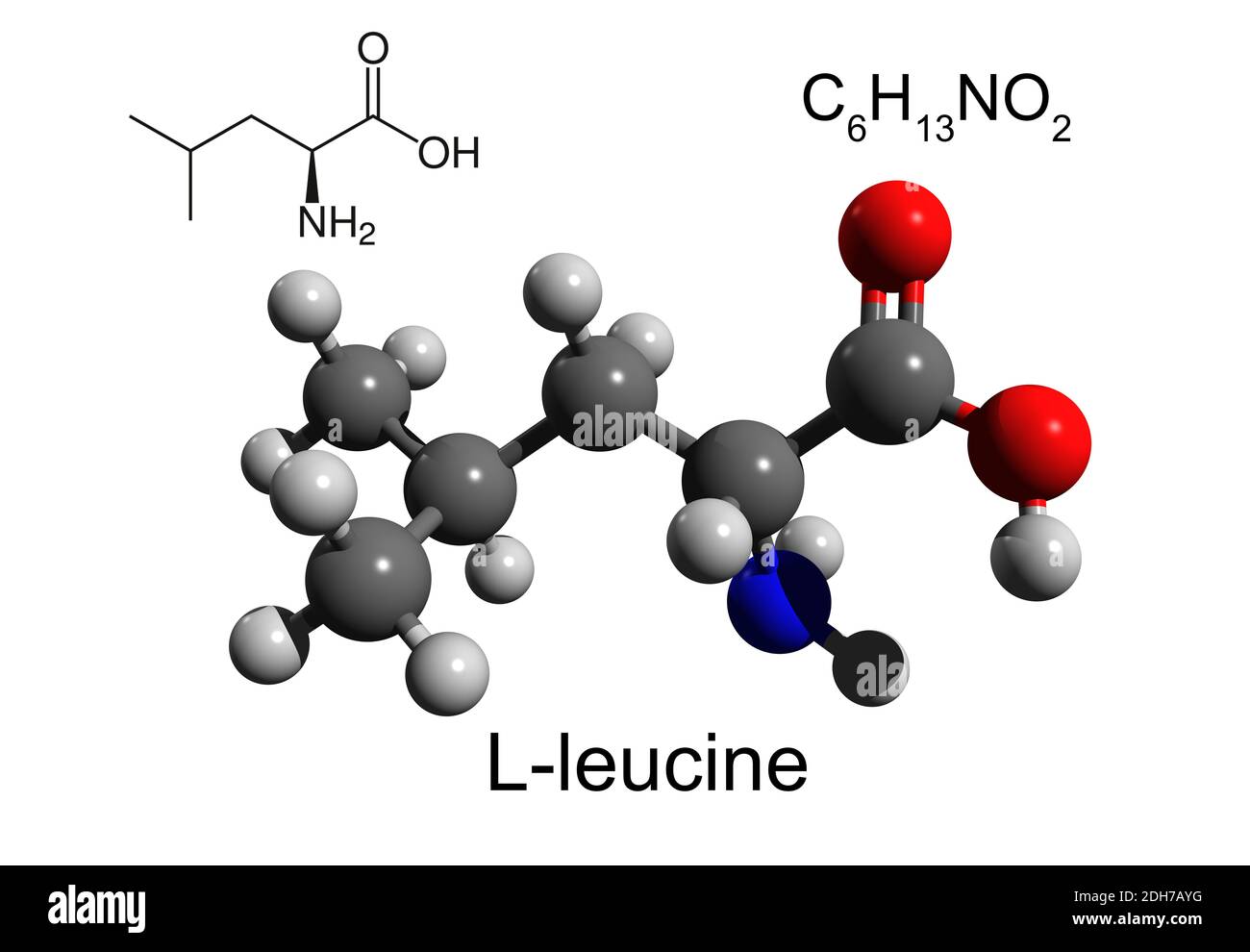 Formula chimica, formula strutturale e modello 3D a sfera e bastone di L-leucina, un aminoacido essenziale, fondo bianco Foto Stock