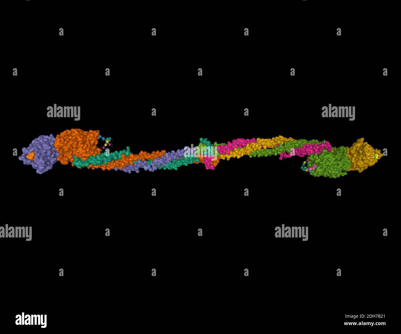 Struttura cristallina del fibrinogeno umano, modello 3D isolato, sfondo nero Foto Stock