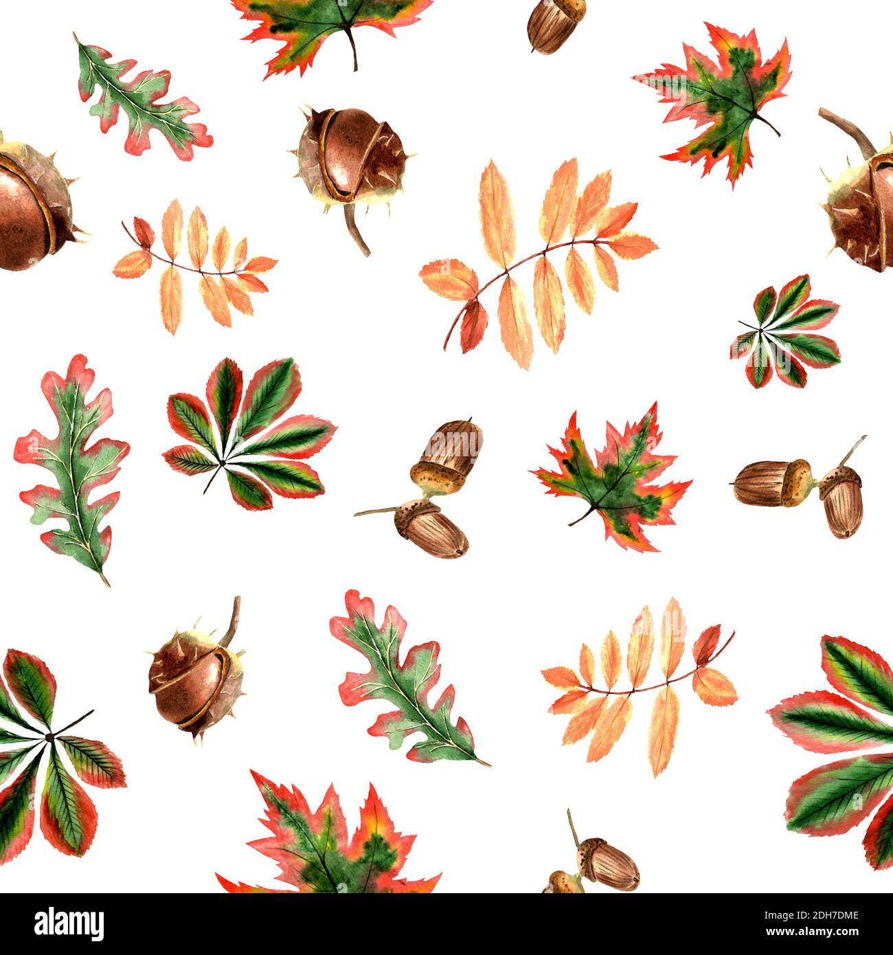 acquerello autunno motivo castagno, acero, quercia, acorno foglie in autunno Foto Stock
