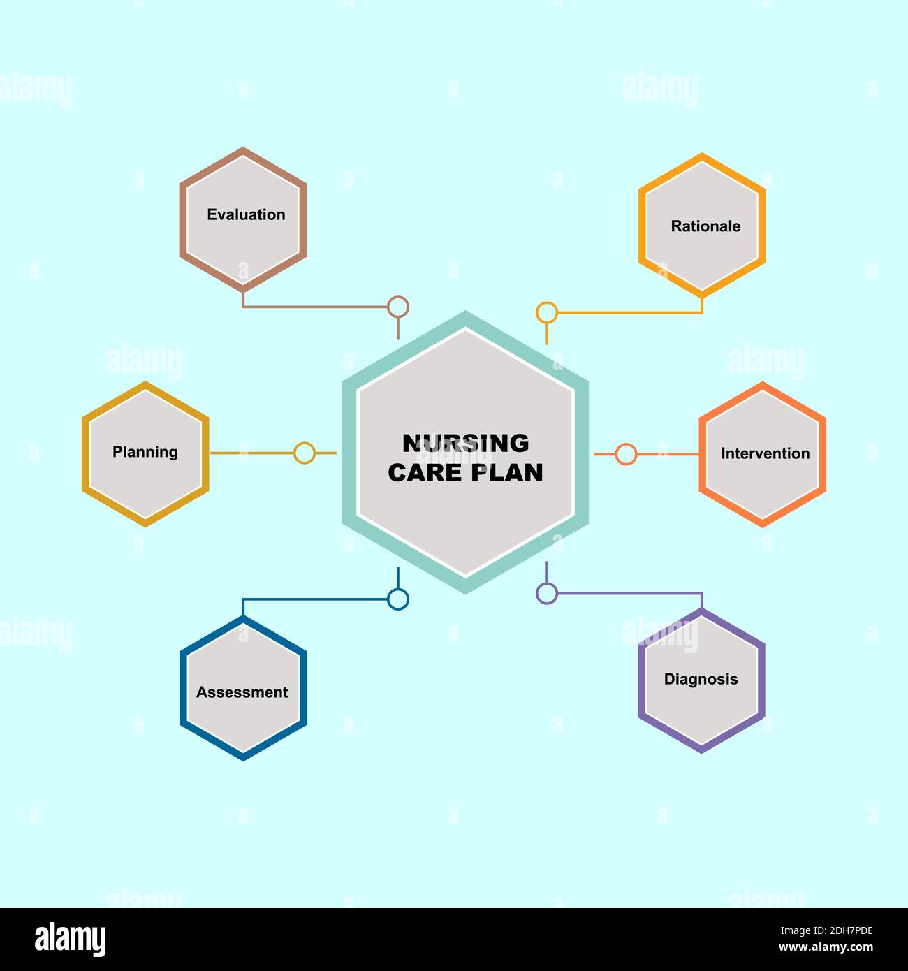 Schema del concetto di piano di cura infermieristico con parole chiave. EPS 10 isolato su sfondo verde Illustrazione Vettoriale