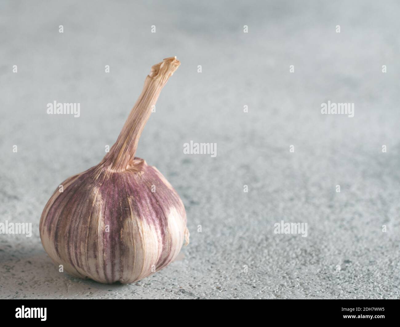 Bulbo aglio sul cemento grigio sfondo Foto Stock