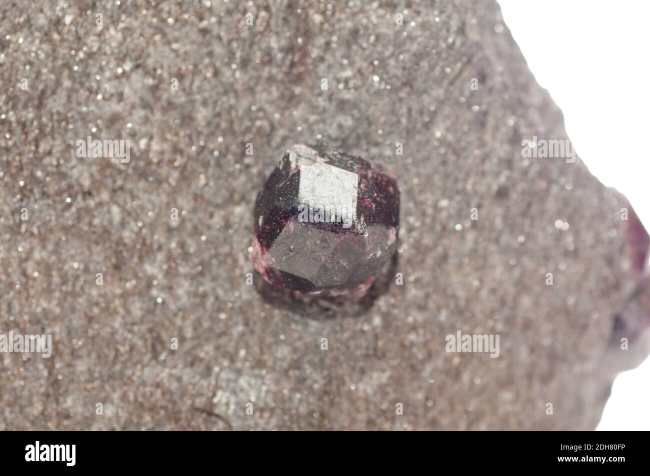 almandine con campione minerale di gemme di cristallo di scisto, non tagliato Foto Stock