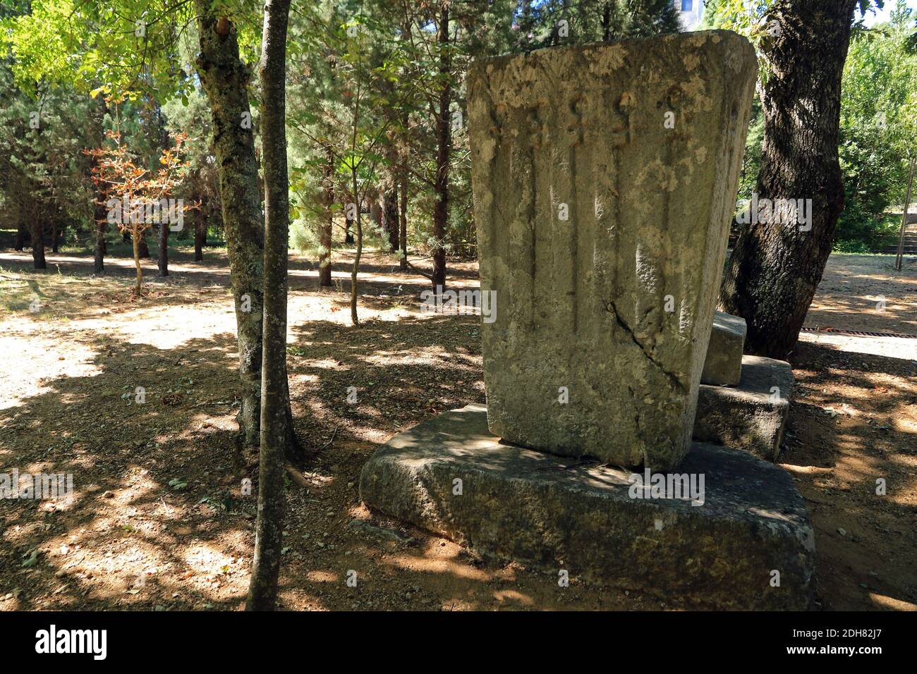 Stecak - pietra tombale medievale, Bosnia ed Erzegovina Foto Stock