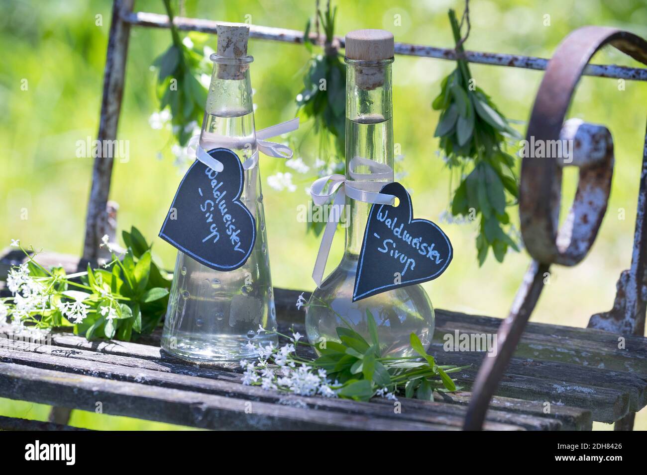 Woodruff dolce (Galium odoratum), sciroppo di Woodruff dolce, Germania Foto Stock