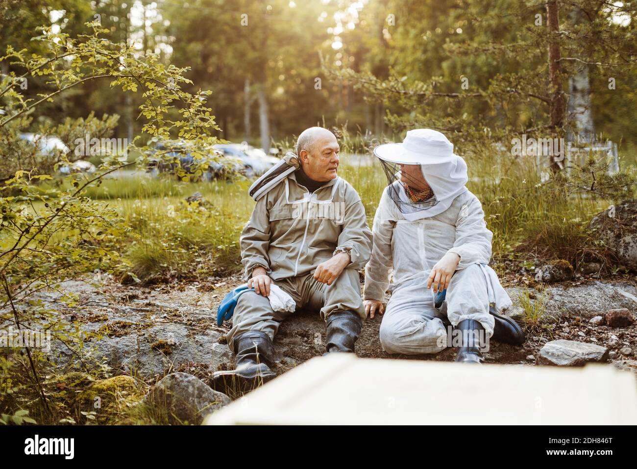 Apicoltori che conversano mentre si rilassano sul campo Foto Stock