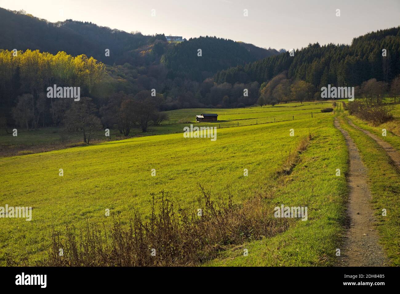 Paesaggio della valle Orketal in autunno, quartiere Elkeringhausen, Germania, Nord Reno-Westfalia, Sauerland, Winterberg Foto Stock