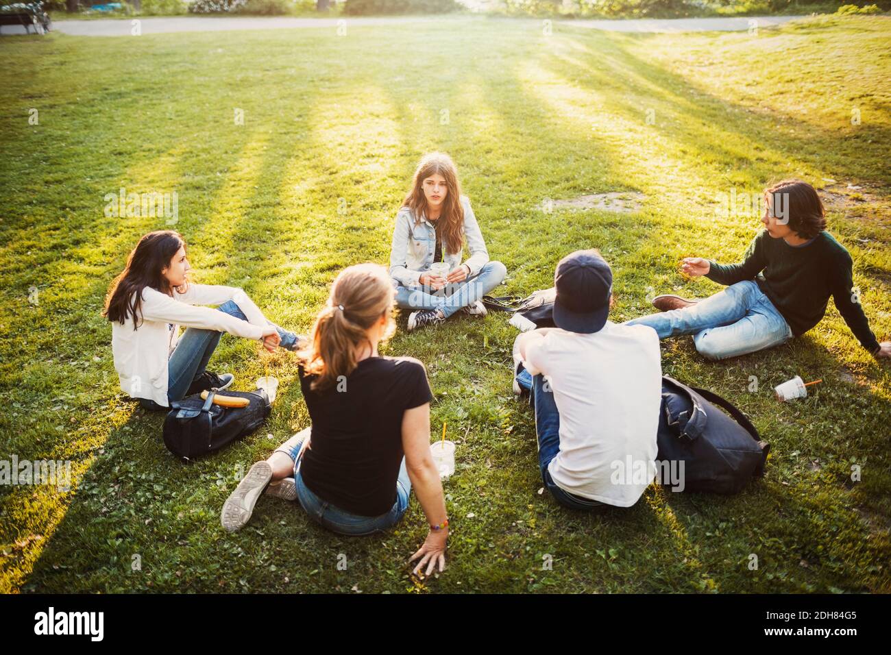 Vista ad alto angolo di adolescenti maschi e femmine che si rilassano erba Foto Stock