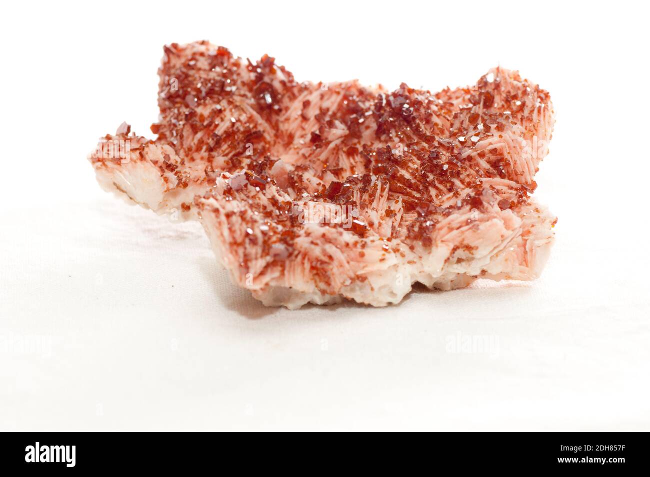 Vanadinite rosso cristallo campione minerale su rocce metamorfiche Foto Stock