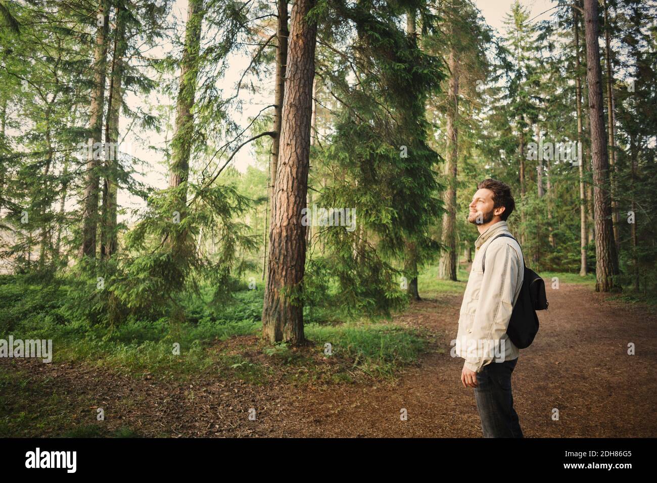 Vista laterale di un uomo che guarda lontano mentre si trova nella foresta Foto Stock