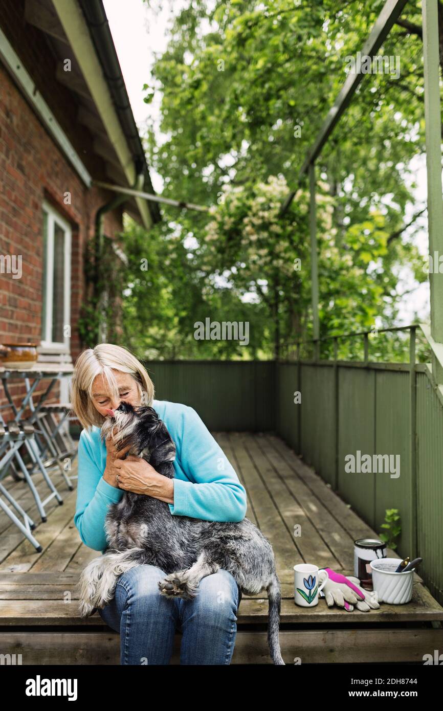 Felice donna anziana baciando cane mentre si siede sul portico Foto Stock