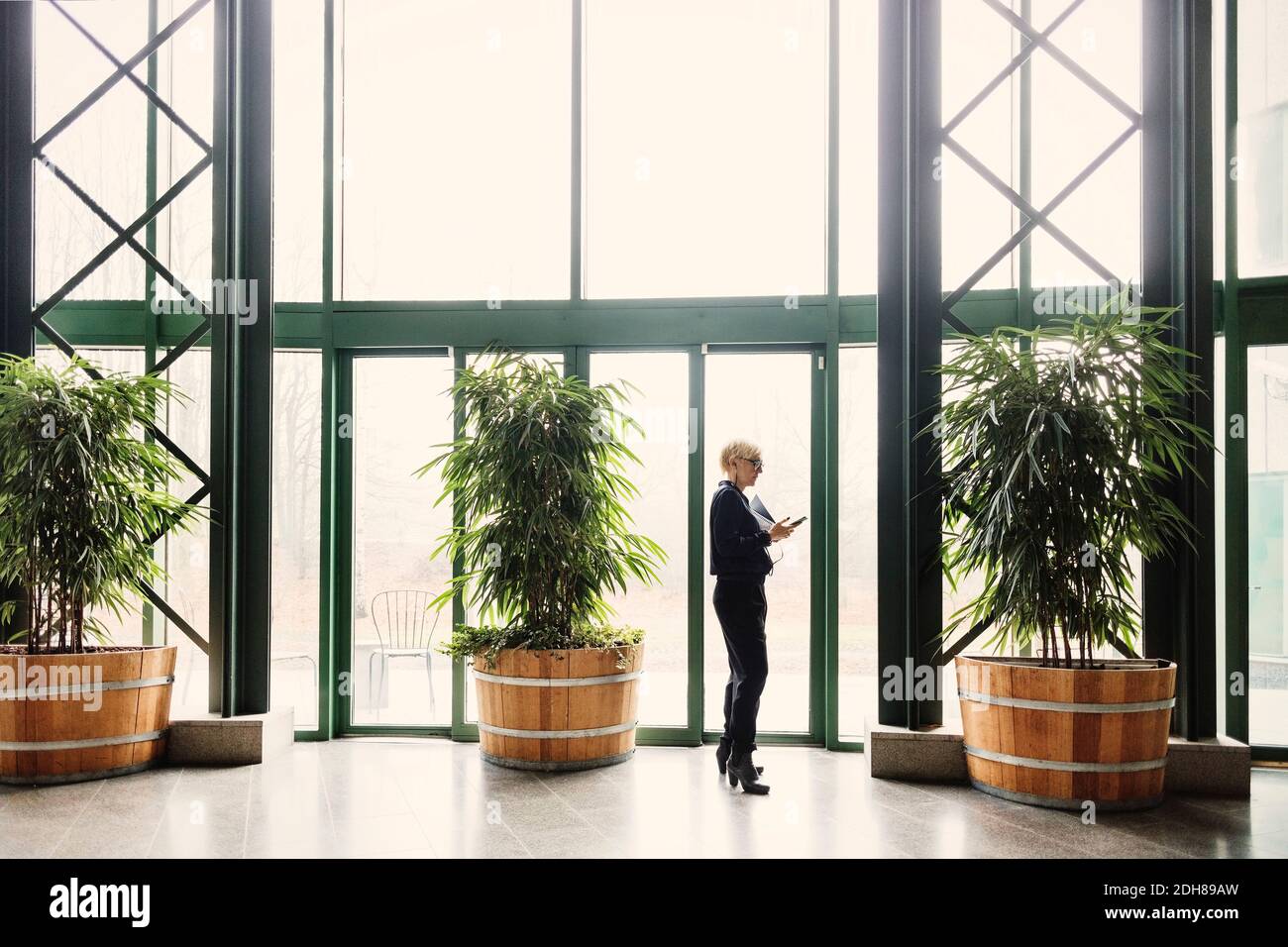 Donna d'affari che usa il telefono intelligente mentre si sta in piedi da piante in vaso ufficio Foto Stock