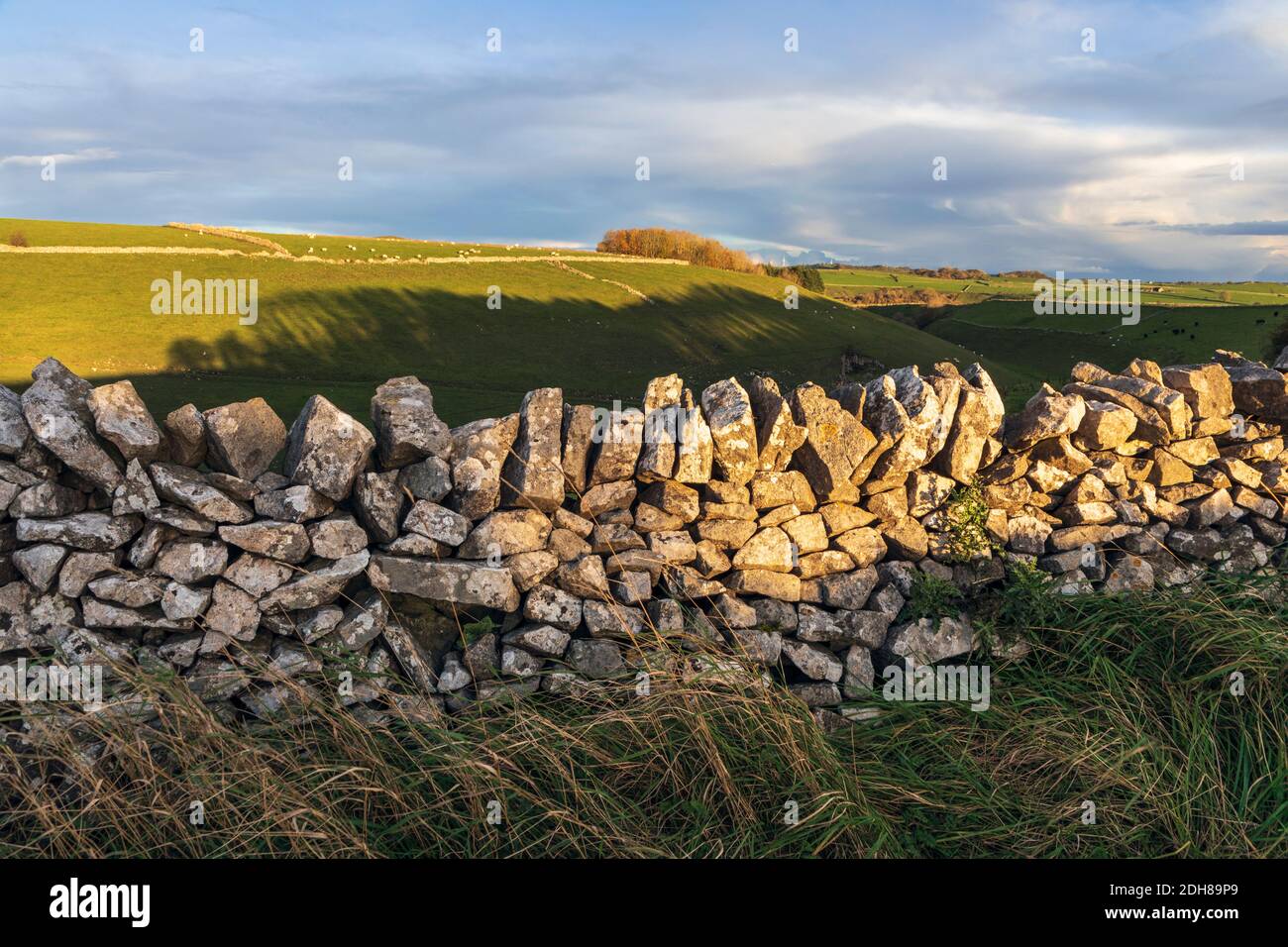 Nel tardo pomeriggio sole autunnale sui campi vicino a Ballidon, Peak District National Park, Derbyshire Foto Stock