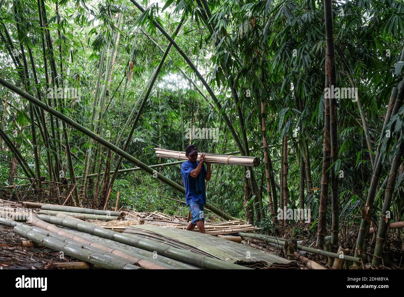 Rumpin, Indonesia. 10 dicembre 2020. Un residente locale porta bastoni di bambù al villaggio di Rumpin in Bogor Regency della Provincia di Giava Occidentale, Indonesia, 10 dicembre 2020. Conosciuto come il villaggio di bambù, il villaggio di Rumpin è il più grande fornitore di bambù per le aree di Giacarta, Bogor e Tangerang. Credit: Veri Sanovri/Xinhua/Alamy Live News Foto Stock