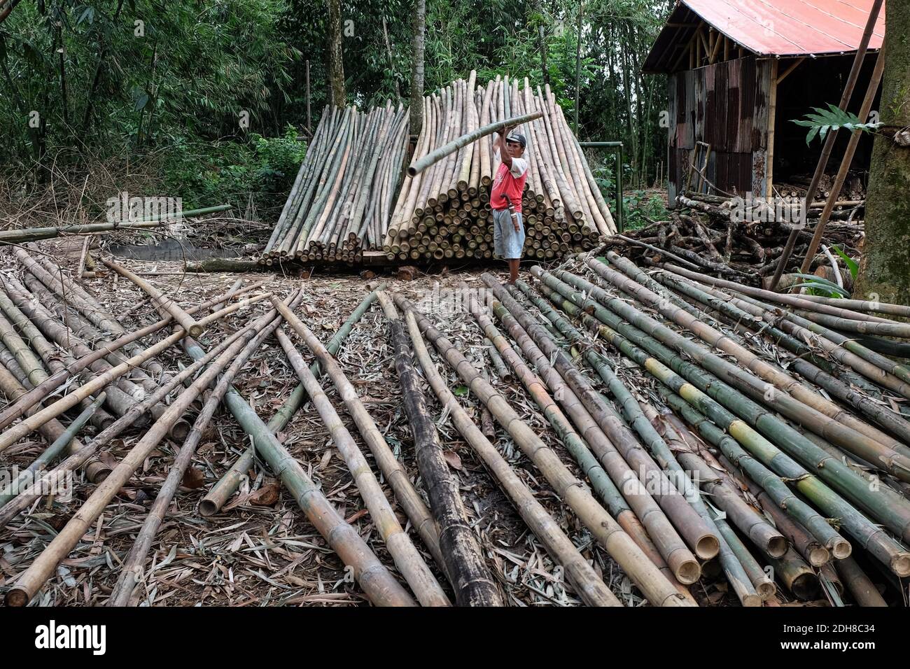 Rumpin, Indonesia. 10 dicembre 2020. Un residente locale organizza bastoni di bambù al villaggio di Rumpin in Bogor Regency della Provincia di Giava Occidentale, Indonesia, 10 dicembre 2020. Conosciuto come il villaggio di bambù, il villaggio di Rumpin è il più grande fornitore di bambù per le aree di Giacarta, Bogor e Tangerang. Credit: Veri Sanovri/Xinhua/Alamy Live News Foto Stock