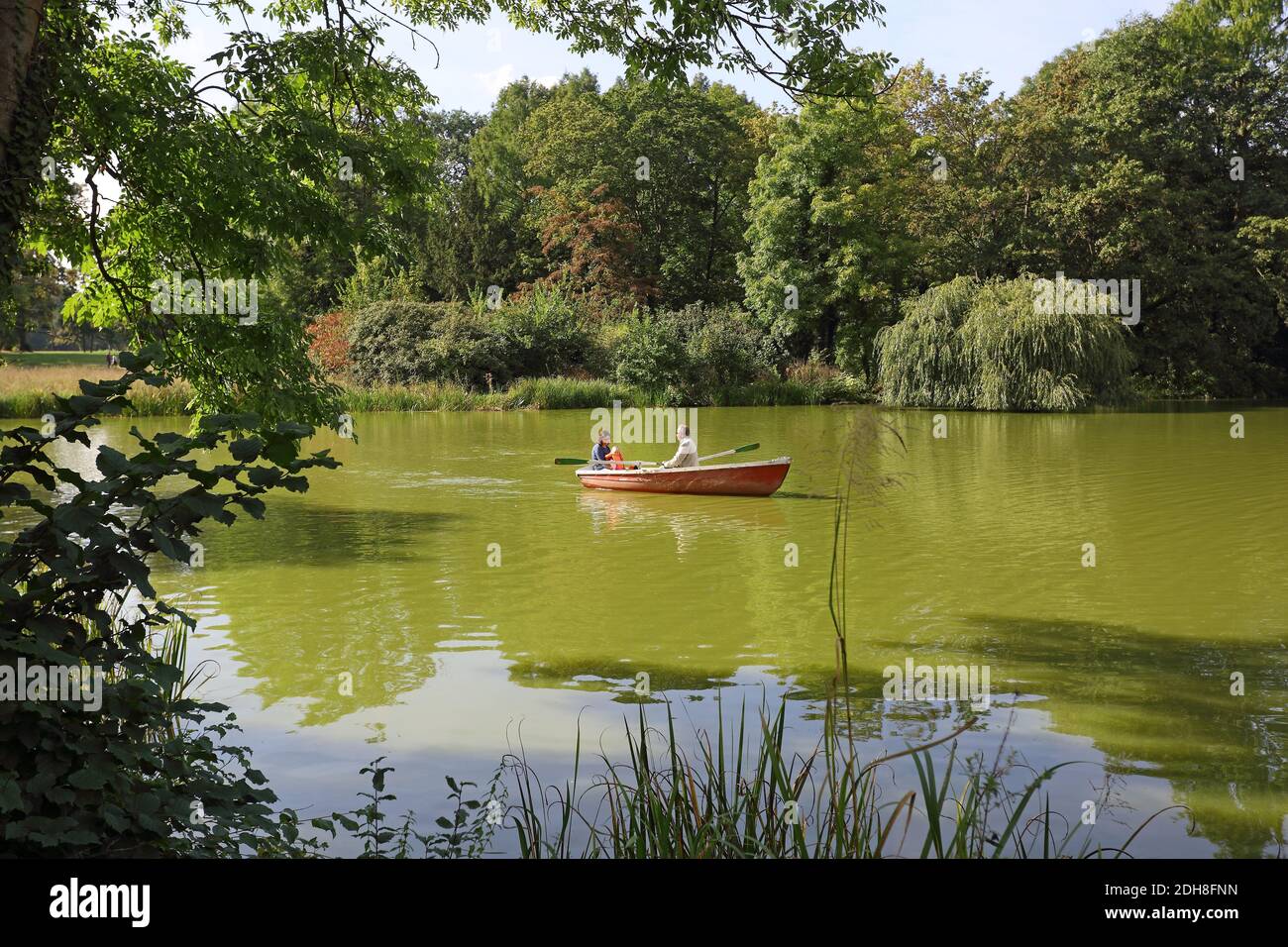 Barca a remi sul lago nello storico parco di Schoenbusch, Aschaffenburg, Germania. Foto Stock