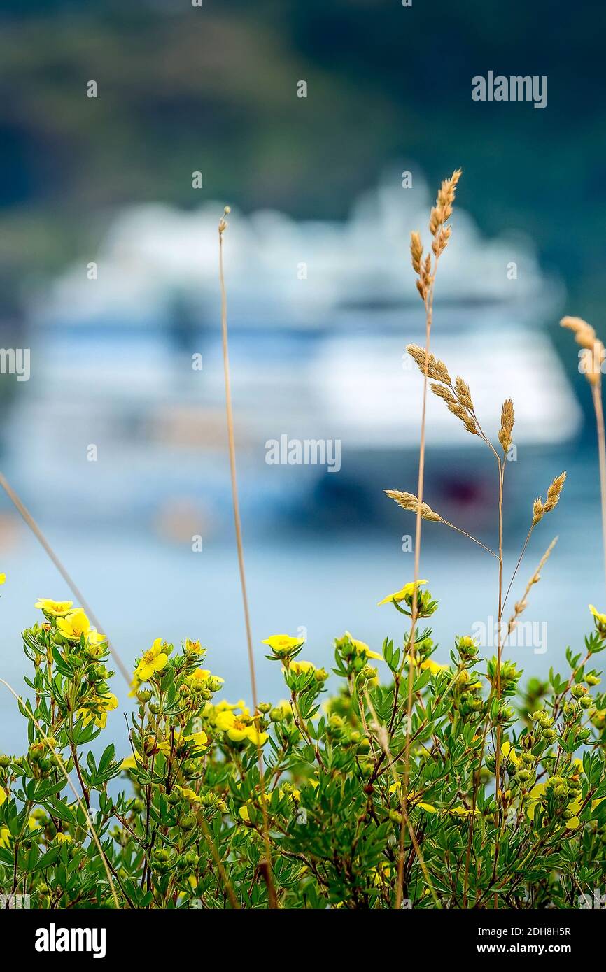 Norvegia fiordo crociera sfondo Foto Stock