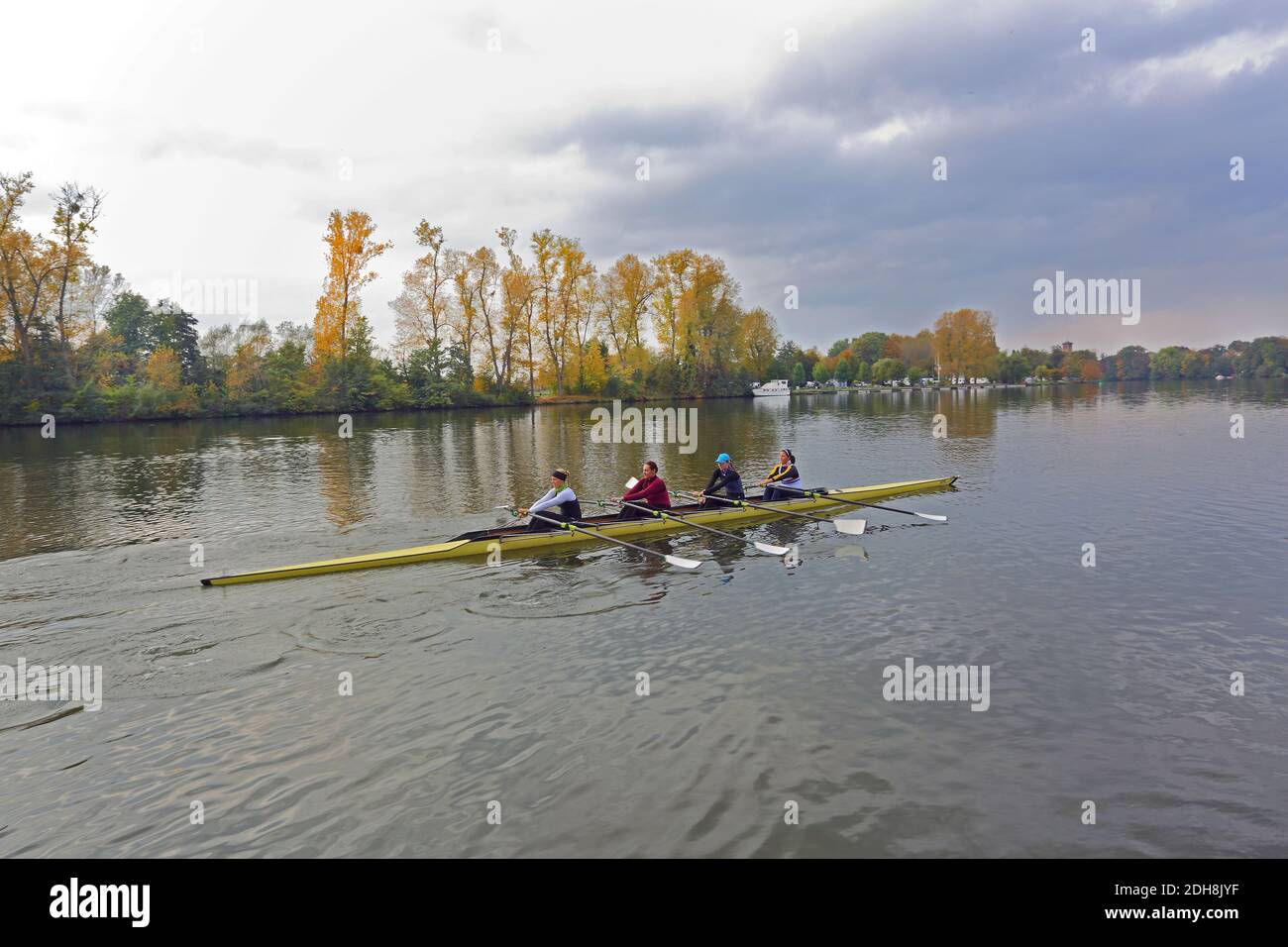 Una barca a remi quattro sul fiume meno a Hanau, Assia, Germania Foto Stock