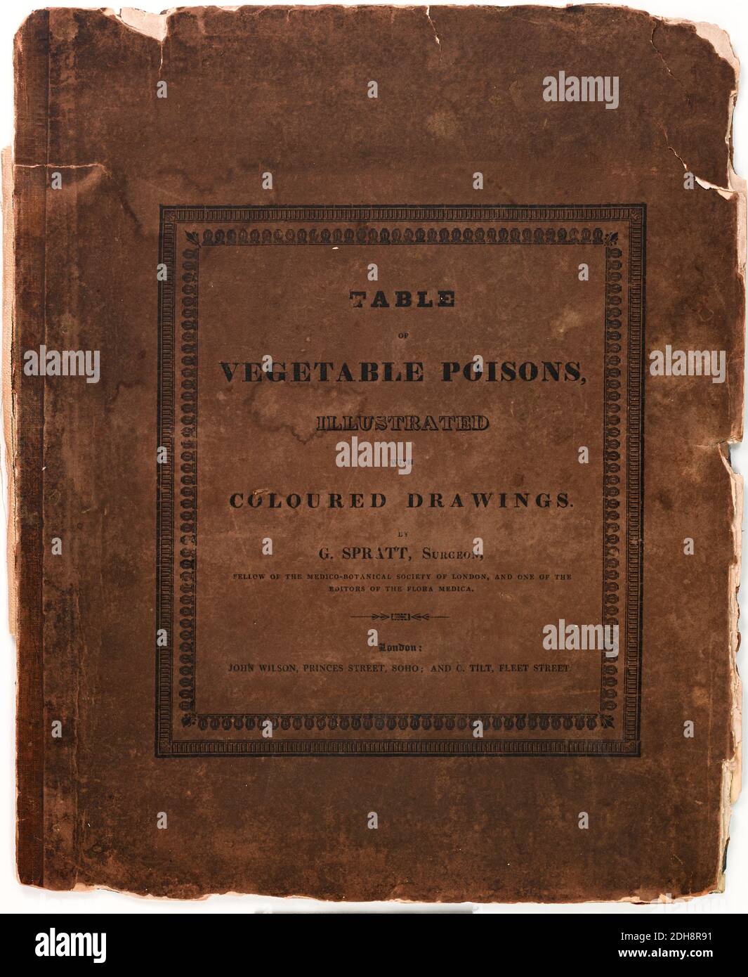 Una tavola di veleni vegetali, che espone le principali piante velenose comprendenti il loro nome inglese comune, il nome botanico, la classe e l'ordine a cui appartengono nel sistema linneo, carattere essenziale per cui sono particolarmente distinti, paese natale, luoghi di crescita, tempo di fioritura, effetti velenosi e modalità di trattamento, &c.. ; illustrato da disegni precisi delle principali piante indigene, compresi i funghi velenosi, e alcune delle piante velenose esotiche coltivate in Gran Bretagna da G. Spratt pubblicato a Londra nel 1843 Foto Stock