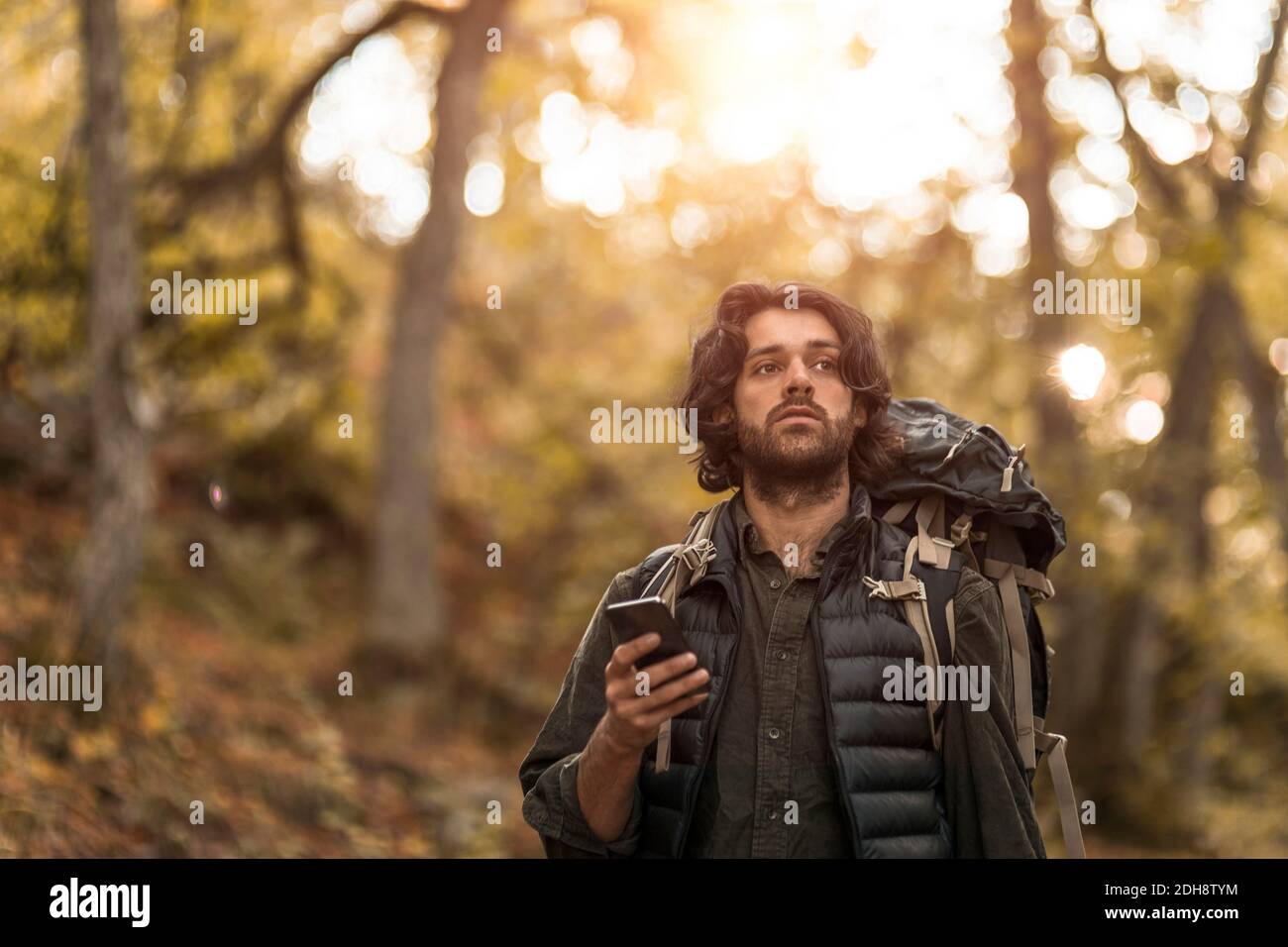 Contemplare l'uomo utilizzando uno smartphone mentre si guarda lontano nella foresta Foto Stock