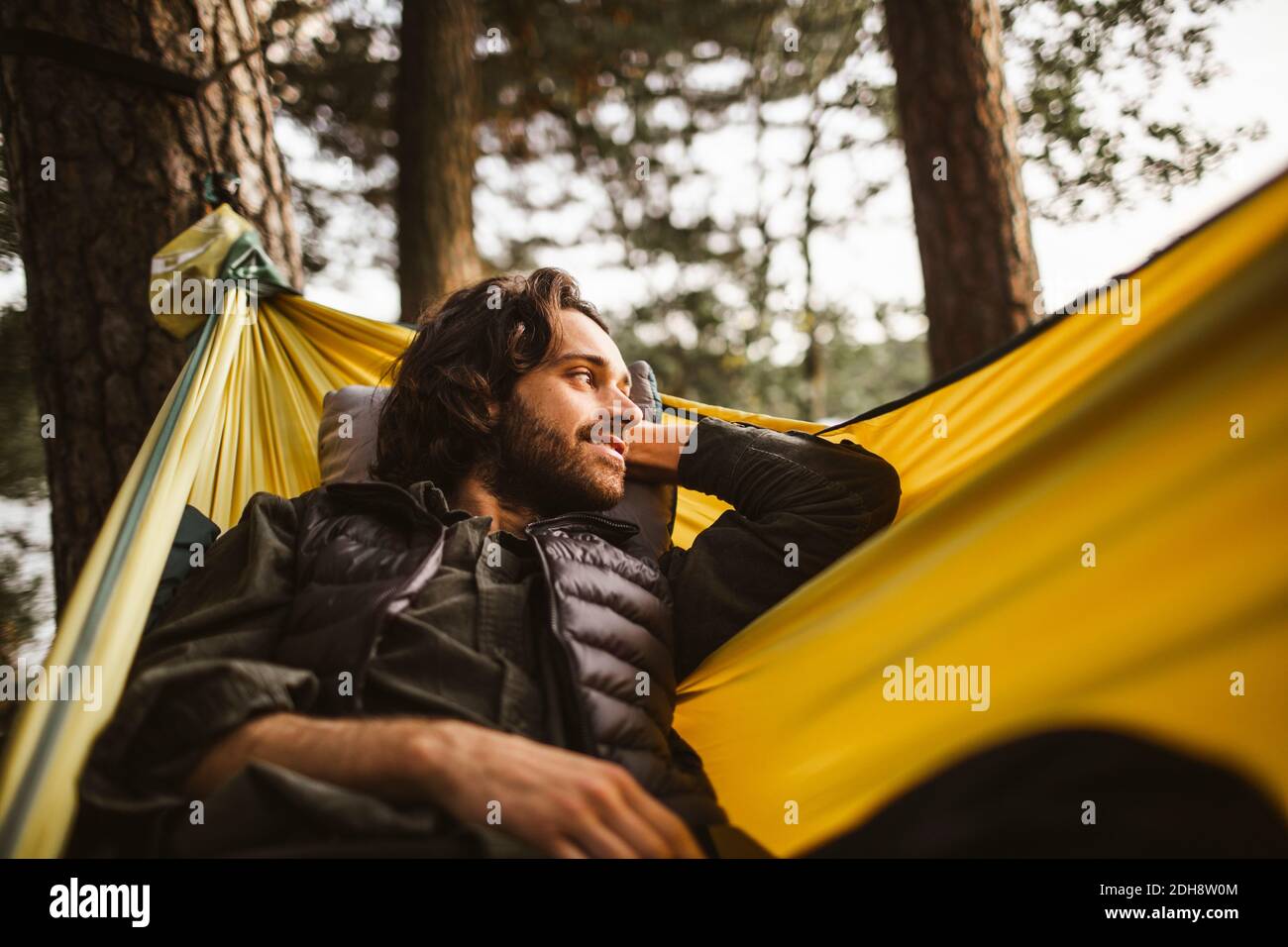 Uomo sorridente che guarda via mentre si sdraiava sopra l'amaca nella foresta Foto Stock